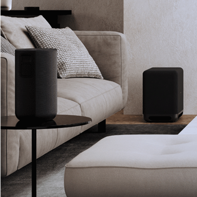 Sony Rear Sub Speakers.