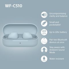 WFC510L.CE7 Wireless In ear headphones - Blue